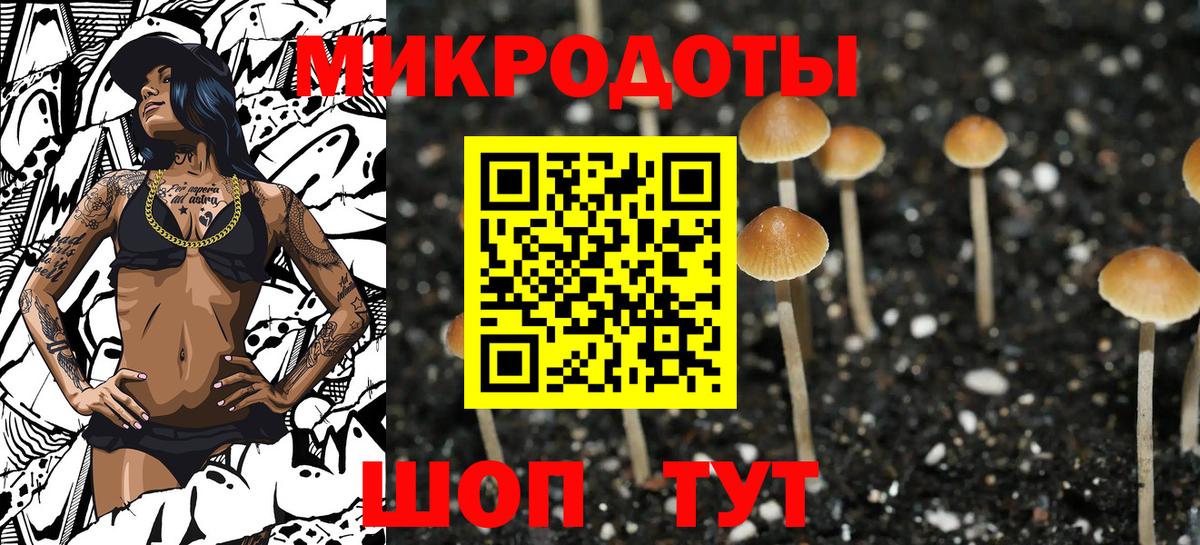 Псилоцибиновые грибы Psilocybine cubensis Вольск