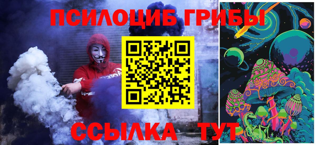 Галлюциногенные грибы мицелий  Галлюциногенные грибы мицелий  Вольск  Вход с VPN 